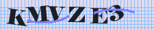 CAPTCHA Image Verification